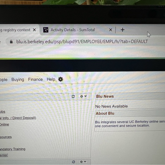 Kito Wares - Picture 4 of 13